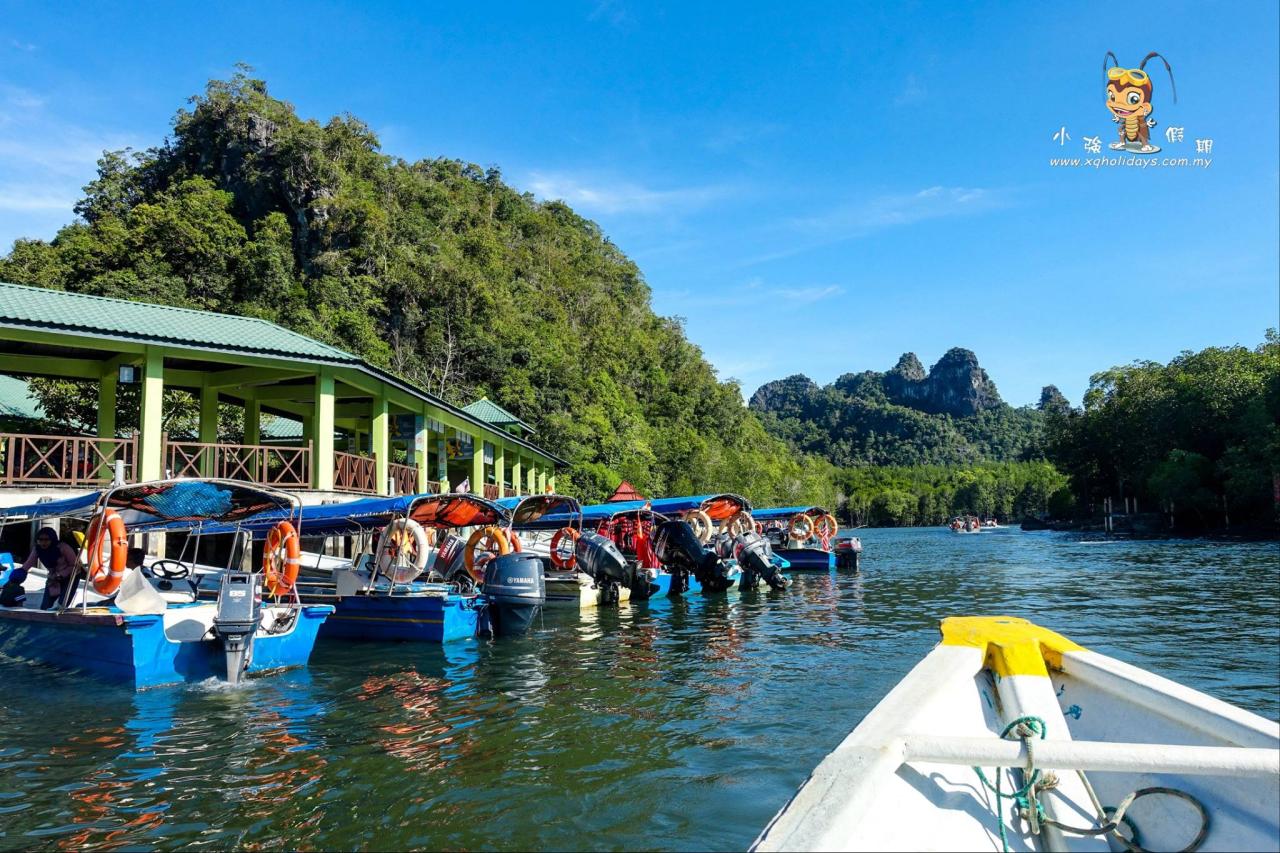 Jelajahi Ekosistem Mangrove Langkawi yang Menakjubkan dengan Mangrove Tour